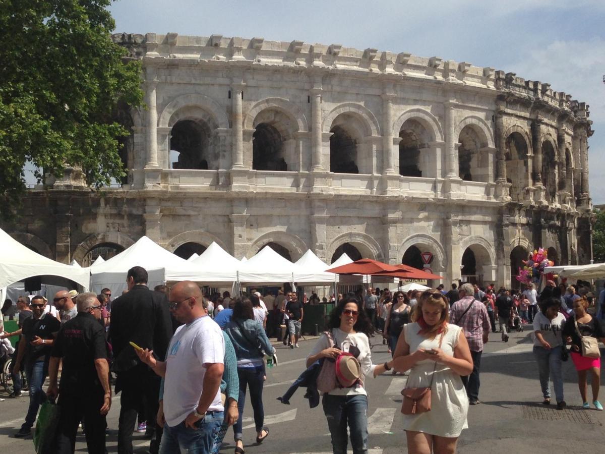 Le Cherche Midi, Entre Nimes, Le Pont Du Gard, Uzes, Arles Маргерит Экстерьер фото